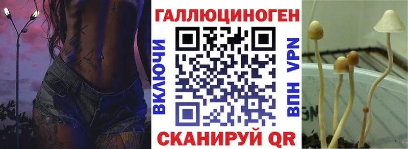 Галлюциногенные грибы прущие грибы  Качканар 
